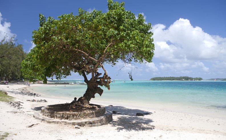 What Wellness Experiences Does Mauritius Offer for GCC Visitors?