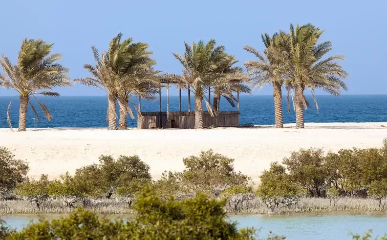 جزيرة صير بني ياس في أبوظبي