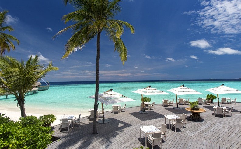 Oceanfront Dining Delights