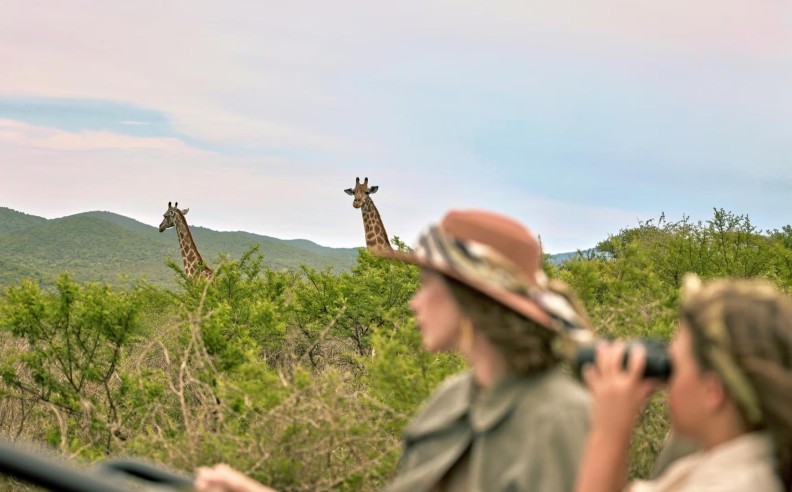 More Than a Safari