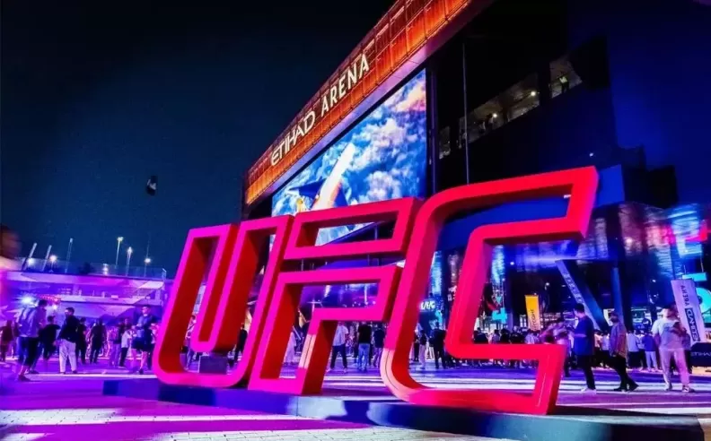 VIP Experience for Fight Connoisseurs