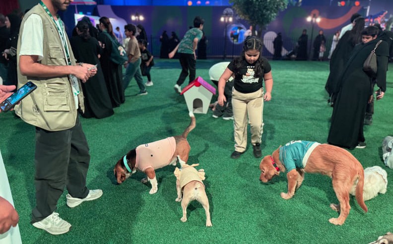 Family Fun and Nature Adventures in the Wonder Forest Zone