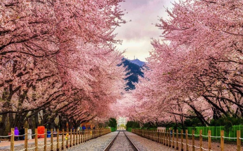 Four Seasons of Natural Wonders