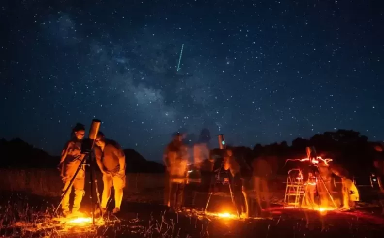 Desert Safari Under the Stars