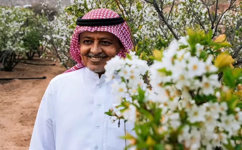 الطائف مدينة الورود