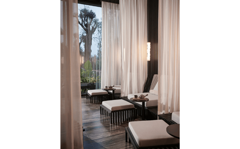 Extending Maxx Wellbeing Through Lifestyle and Sustainability