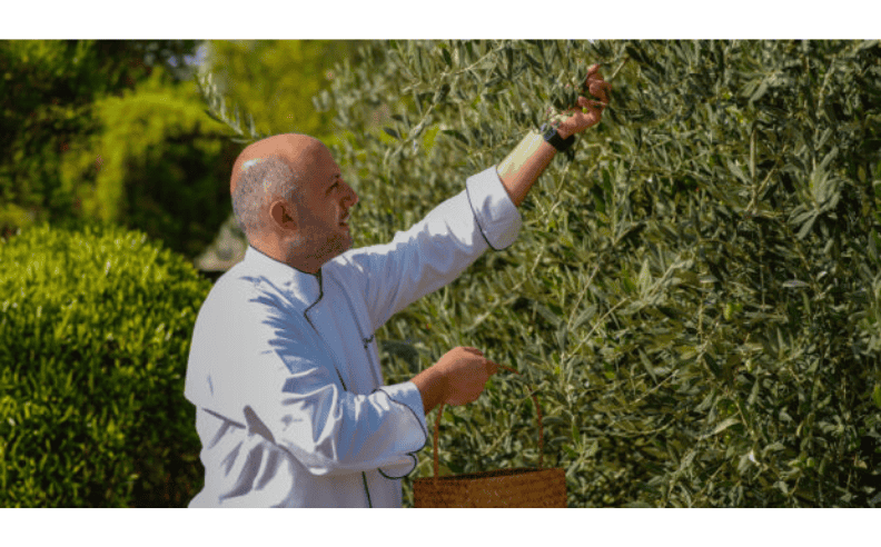 رسالة المنتجع حول المهرجان