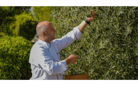 Anantara Al Jabal Al Akhdar Announces 4th Annual   Olive Harvest Festival from 24 – 28 September 2025