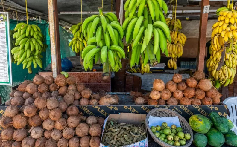 سحر صلالة ومطبخ الجنوب