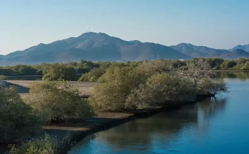 رحلة ساحرة الى خور كلباء حيث تلتقي الجبال بالقرم