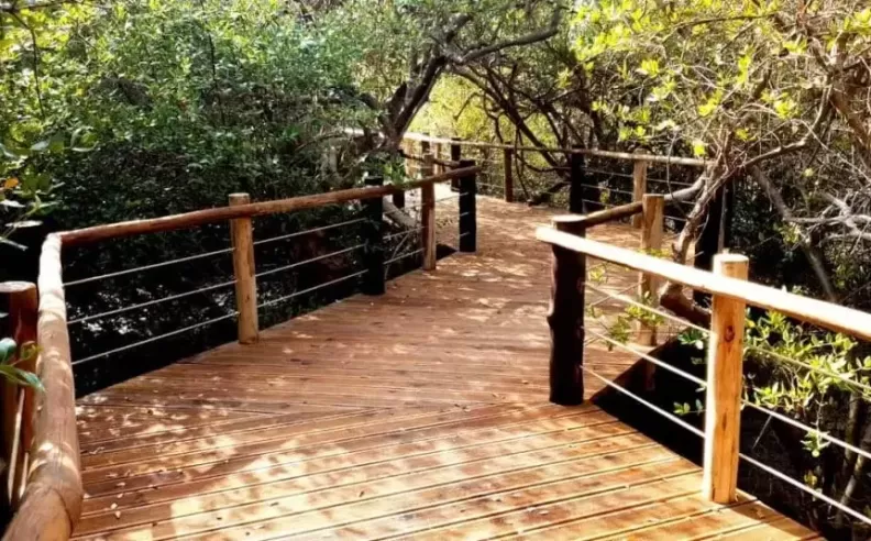 Untouched Nature
