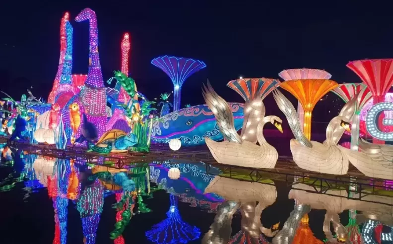 Dubai Garden Glow