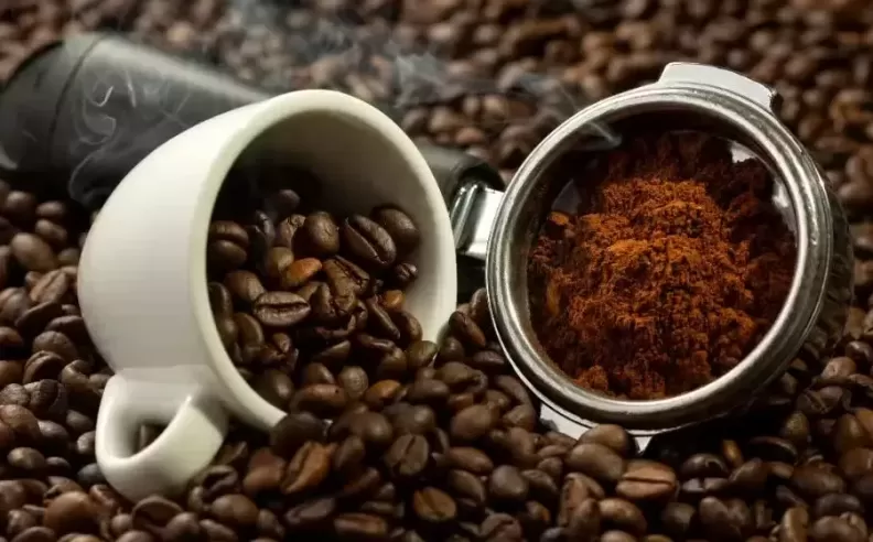 نكهات مصاحبة من عالم الشوكولاتة