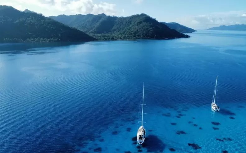 Freedom and Comfort at Sea