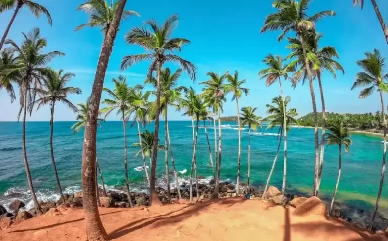 Sri Lanka A Journey of Nature and Culture