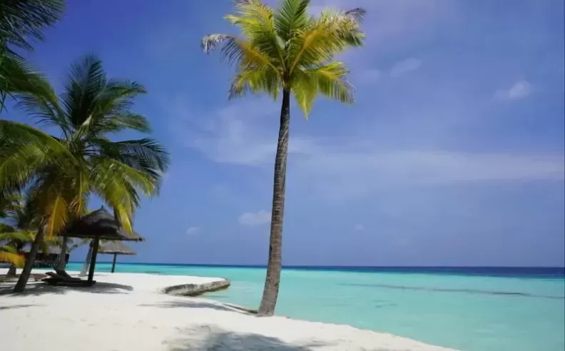 Maldives The Art of Tranquility