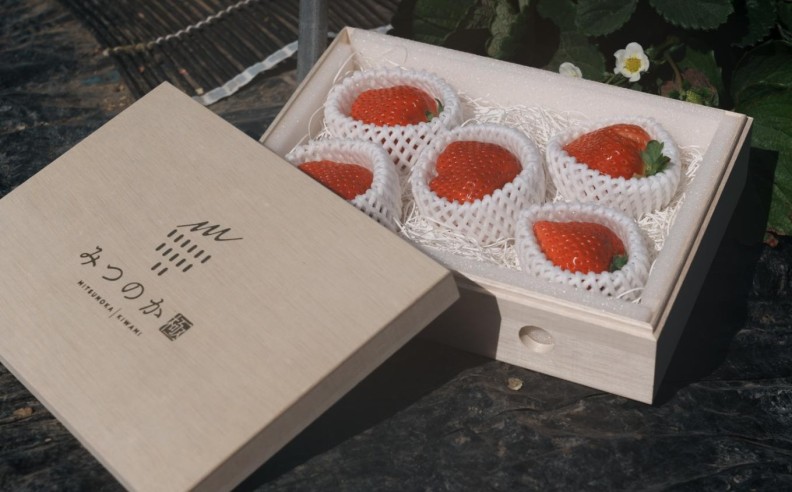 Premium Ingredients, Sake, and Upcoming Winter Menu at KIGO