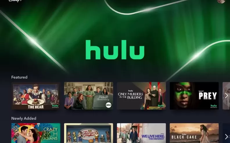 A Massive Library of Favorites