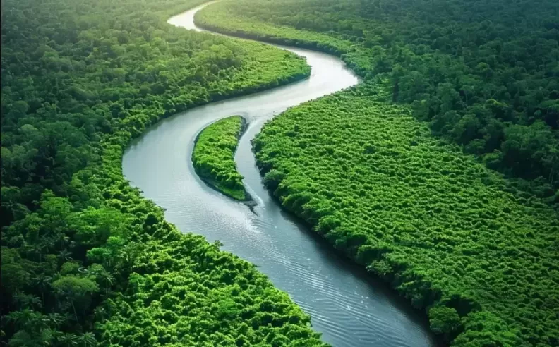 Creating the Perfect Overhead View