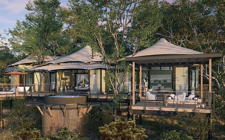 Accommodation: Eco-Chic Luxury in the Treetops
