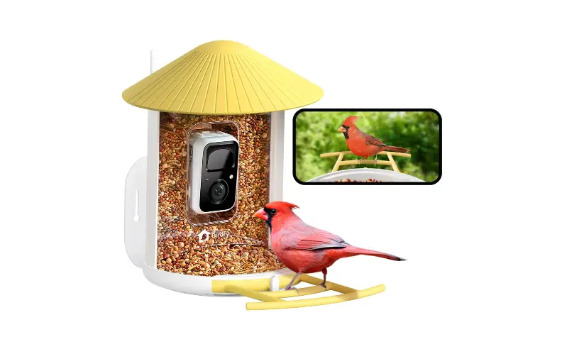 A Gift for Nature Enthusiasts