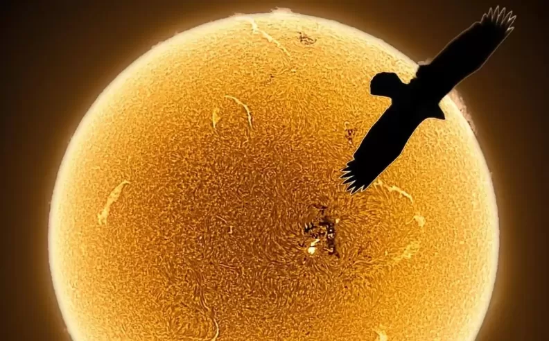 The Sun Like Never Before