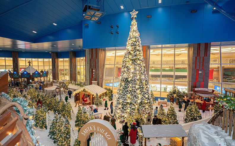 باقات أرض العجائب الشتوية وتجارب سانتا في دبي وأبوظبي