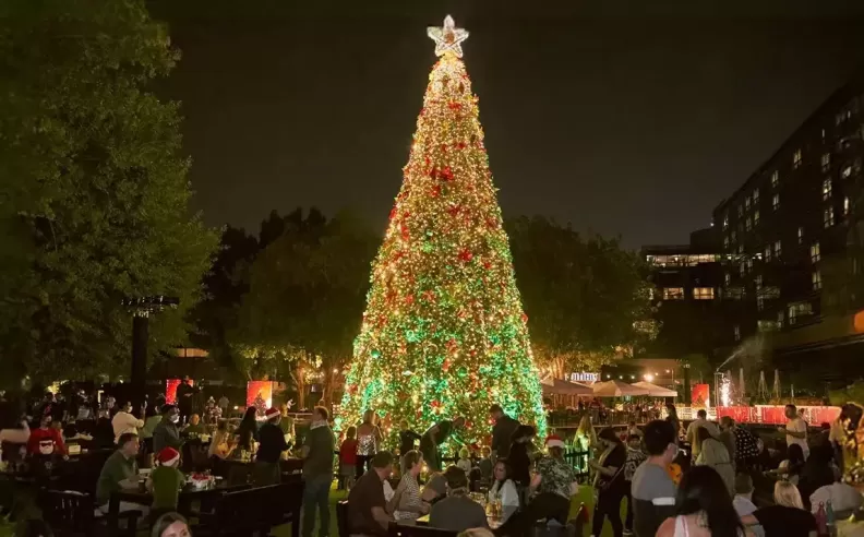 Fun and Culture at the Irish Village