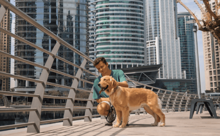 The Best Pet-Friendly Spots to Visit in JLT this Season