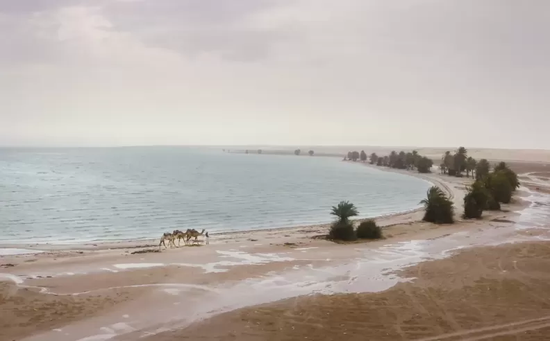 Uqair Beach: Where the Sea Meets Heritage