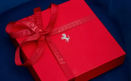 Step Into Ferrari Luxury Gifts That Define the Modern Man