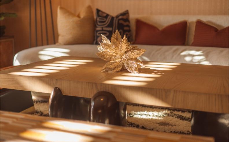 La Collection de Buches