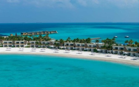 مجموعة فنادق ومنتجعات سينتارا تعلن عن عروضها المميزة لموسم الأعياد