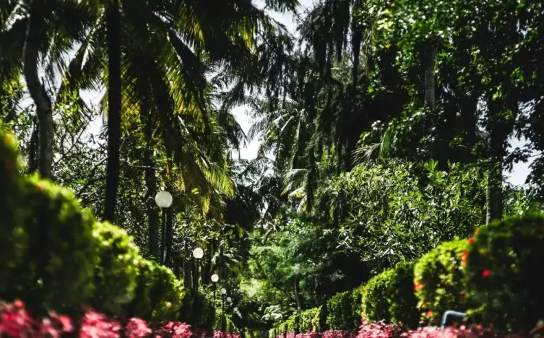 حدائق المغول وألوان الربيع