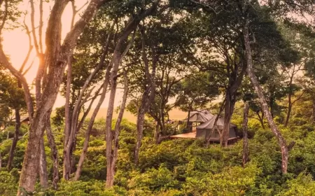 أفريقيا 2026: رحلات ساحرة ووجهات تأخذك إلى عالم آخر