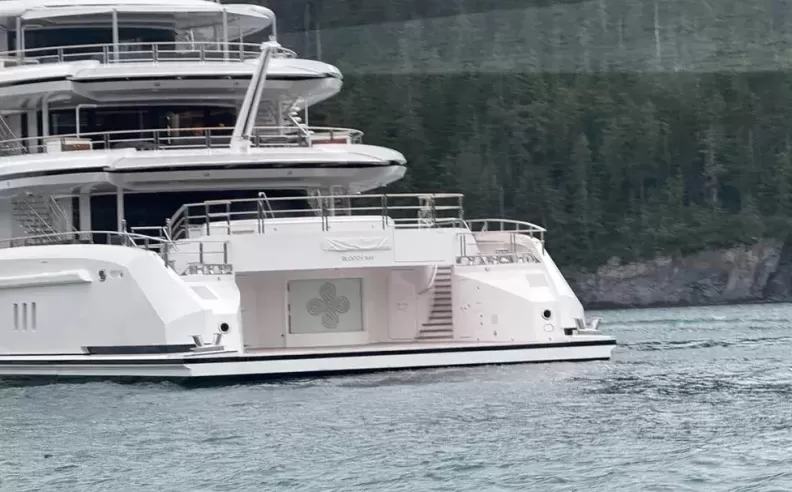 Environmental Impact Concerns