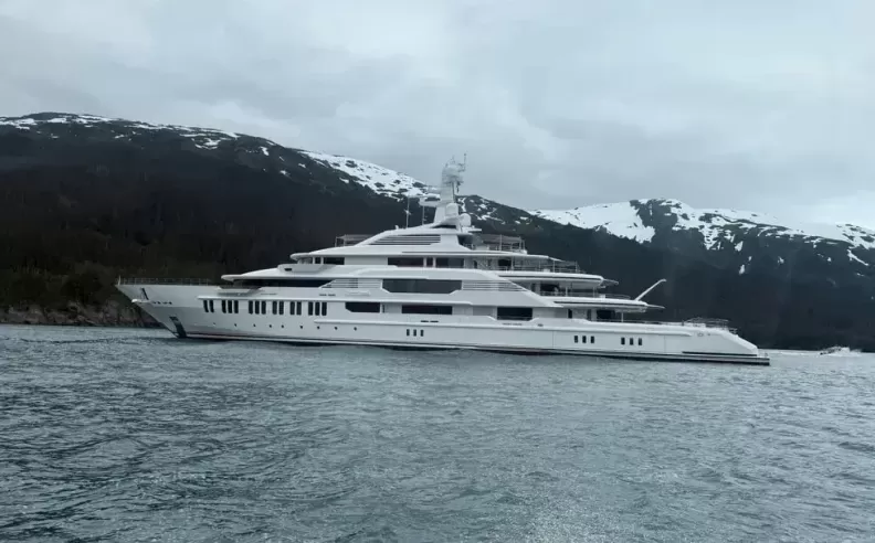 Online Reactions and Public Criticism