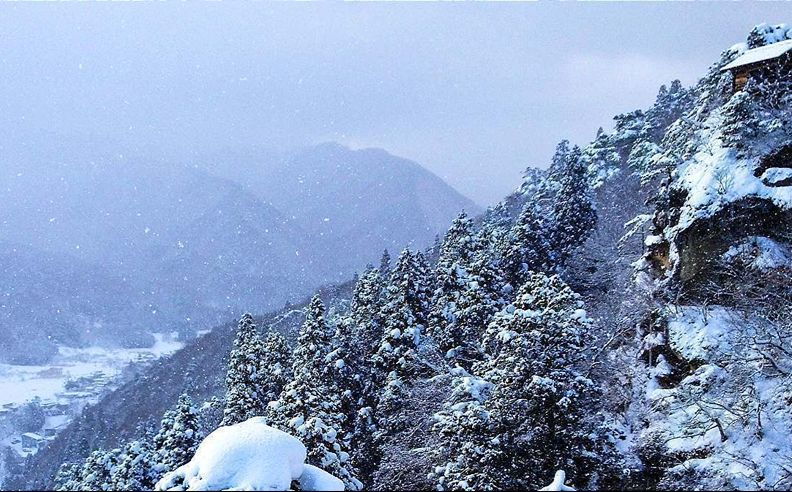 Appi Kogen: First-Rate Powder Snow in Tohoku