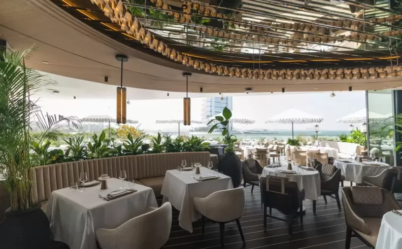 A Festive Flavor Journey Awaits: Dive Into Sushiyaki Christmas Specials