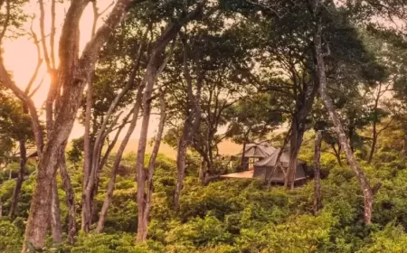 Africa 2026: A New Era of Travel Culture Nature and Hidden Luxury