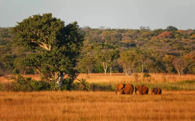 Angola and the Exclusive Safari Experience