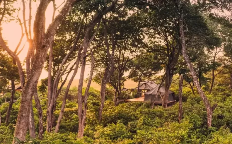 Africa 2026: A New Era of Travel Culture Nature and Hidden Luxury