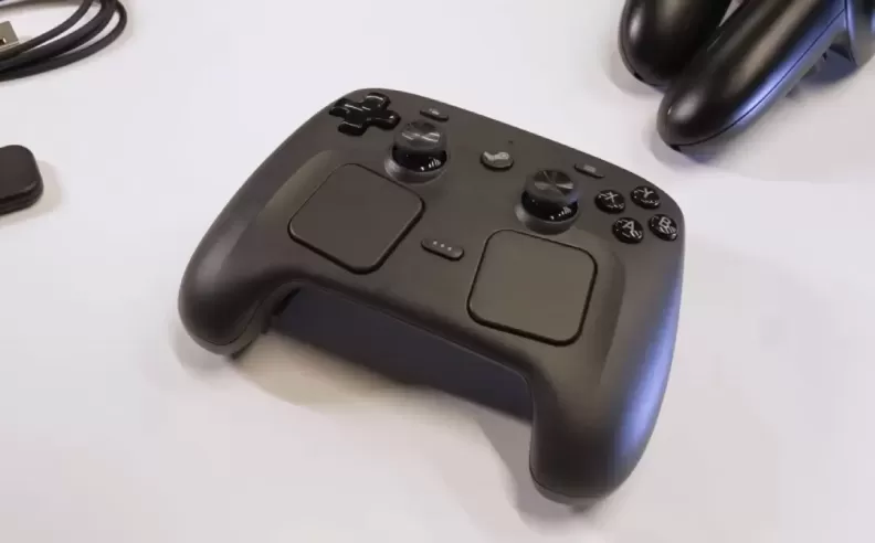 Mixed Community Reactions to the Leaked Design