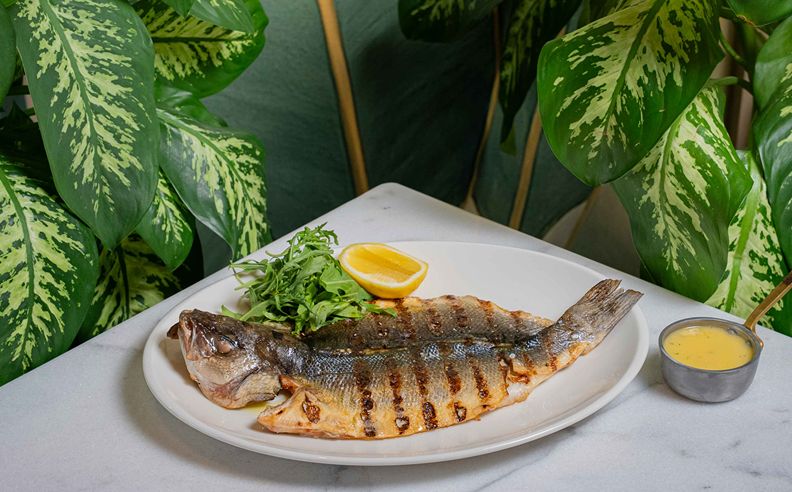 Papagalos Brings Mediterranean Flavors and Experiences to Dubai