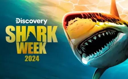 JOHN CENA WELCOMES MIDDLE EAST VIEWERS TO DIVE INTO SHARK WEEK THIS SUMMER ON DISCOVERY & discovery+ WITH A DEDICATED POP-UP CHANNEL ON OSNtv