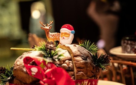 Festive Season at Novotel & Ibis Dubai WTC