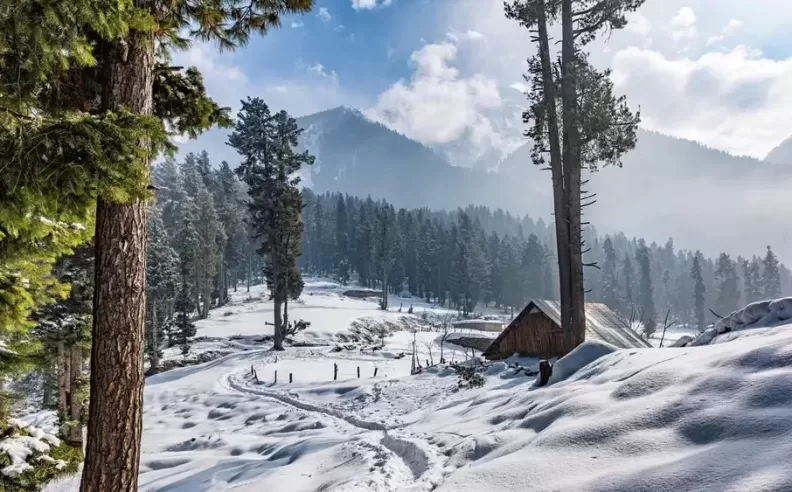 Choosing the Right Destination