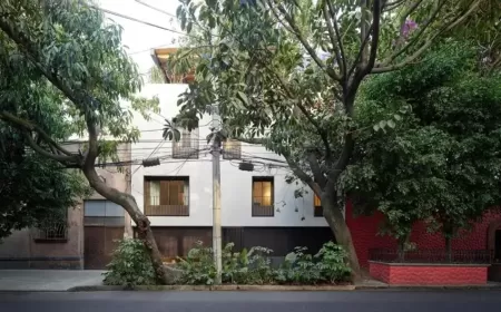 فندق Hotel Dama في مكسيكو سيتي تجربة بوتيكية تجمع التصميم والتراث المكسيكي