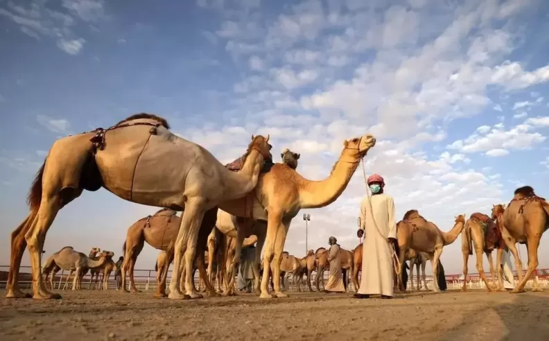 ملتقى تراثي خليجي بامتياز