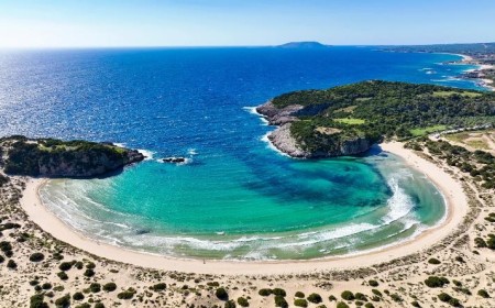 The Odyssey Returns Home